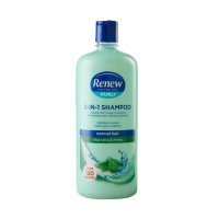 Renew Everyday Care Family 2-IN-1 Shampoo